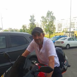 �����, �����-���������, 46 ���