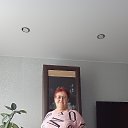 ���� �����, �����, 66 ��� - ��������� 26 ��� 2026