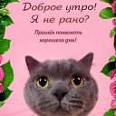 ���� ��������, ������, 60 ��� - ��������� 25 ������ 2024 � ������ ���� ����������