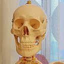 ���� ����, ������, 38 ��� - ��������� 18 ����� 2024 � ������ ���� ����������