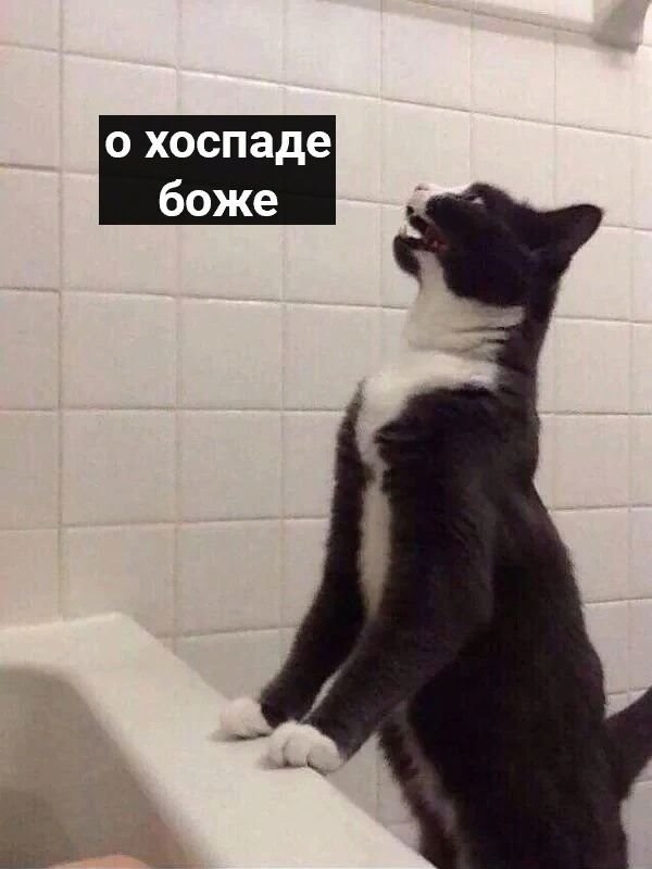       - 3