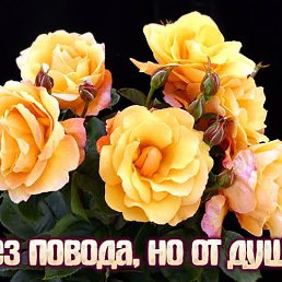 ���� ��������, ������, 55 ��� - ��������� 20 ������ 2024