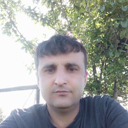  , 37 , 
