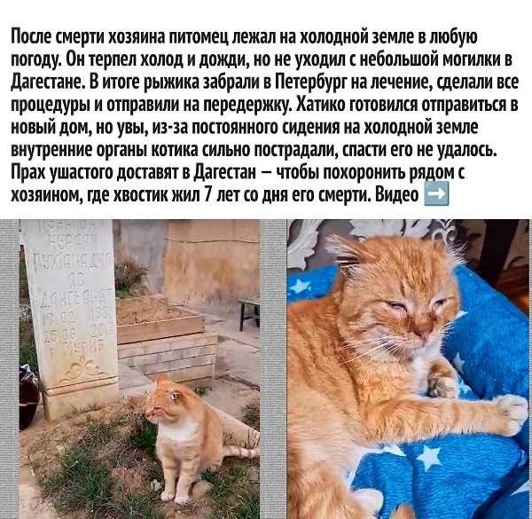      - 2
