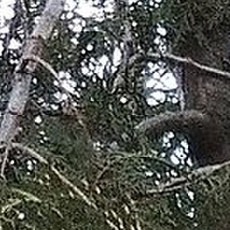 ����, ������, 65 ���