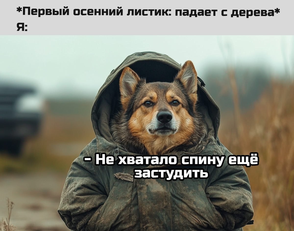 ОБО ВСЕМ - 14 сентября 2025 в 18:21