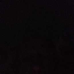 �����, �����������, 47 ���