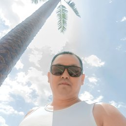 , 41, 