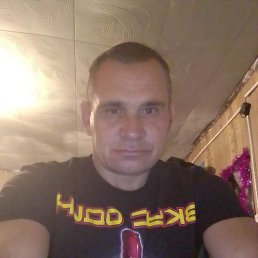   , 45, 
