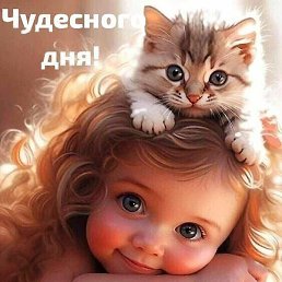 ������, ���, 71 ���