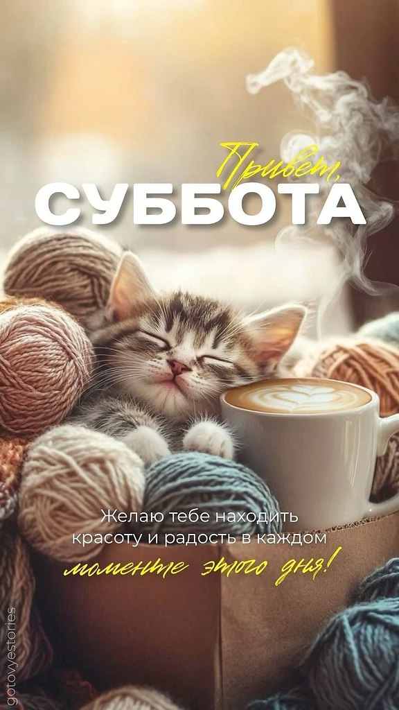   - 21  2025  12:31