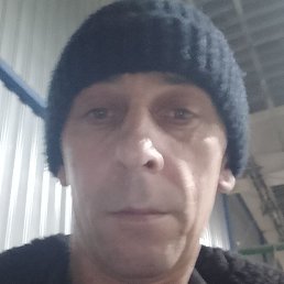 ����, �������, 41 ���