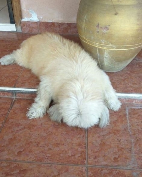 ����� ��������� ����� ���������� ��������