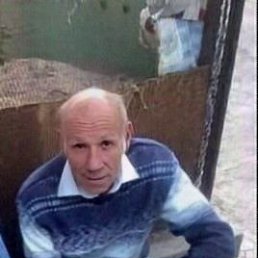 , 65 , 