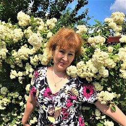 ����, �������, 60 ���