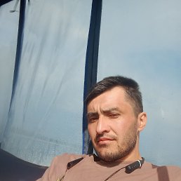, 29, 