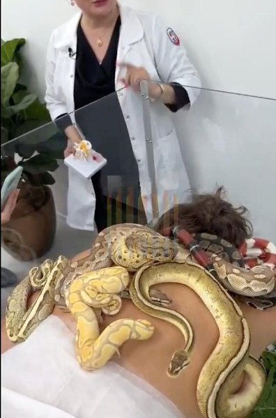В Москве предложили новую услугу для любителей экстрима: за 50 тысяч рублей можно испытать лежание с ...