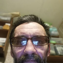 , 54, 