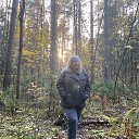 ���� ���������, �����, 42 ���� - ��������� 12 ����� 2026