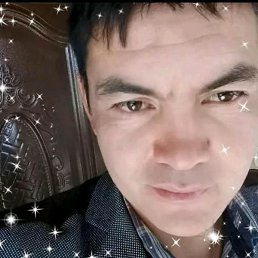 �������, �������, 41 ���