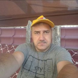 , 42, 