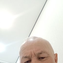 ���� �������, ������, 53 ���� - ��������� 13 ������� 2026