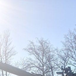 ������, �����������, 43 ����