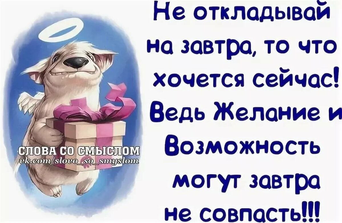 ✿ܓ☘ ������ ☕ ◕‿◕ ☕ ��������.☘ ✿ܓ - 28 ������� 2023 � 12:36