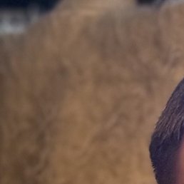 �������, �������, 27 ���