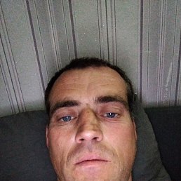 , 37, 