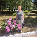 ���� ����, ����������� - ��������� 24 ������ 2024 � ������ ���� ����������