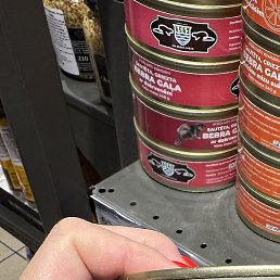 Viv, ������, 25 ���