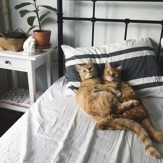      - 3