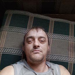  ., 40, 