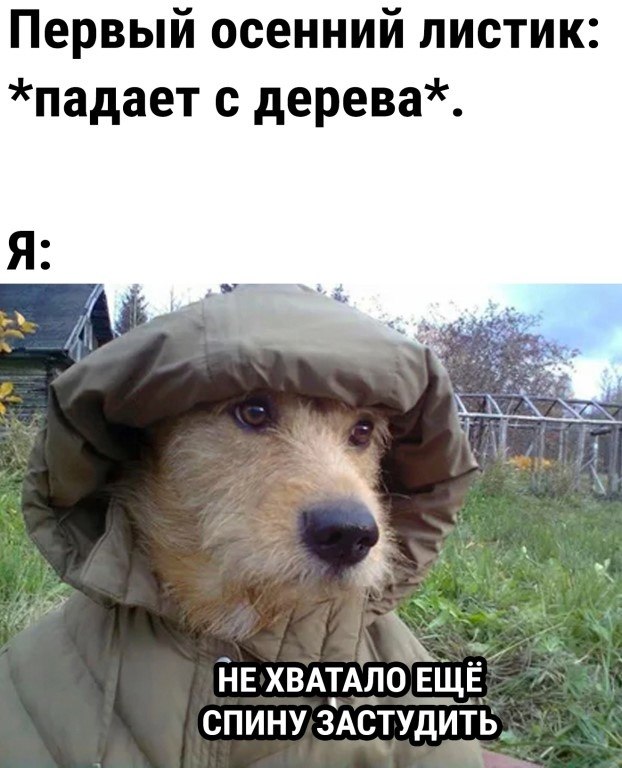 ☆ ☆ - 4  2024  23:33