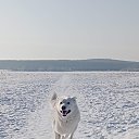  ,  -  11  2025    