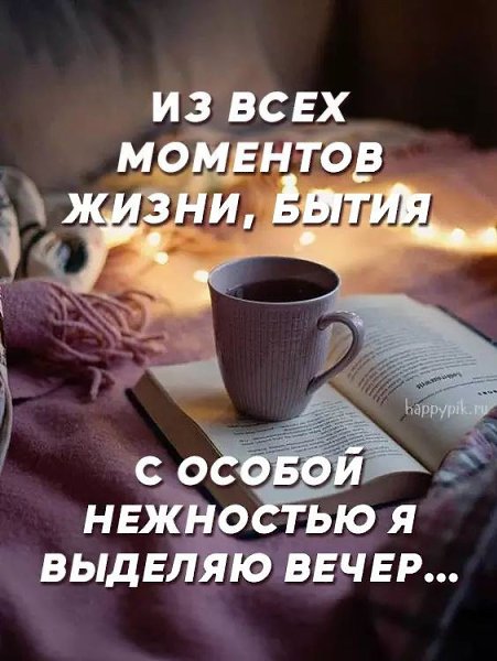   ! - 24  2024  17:49