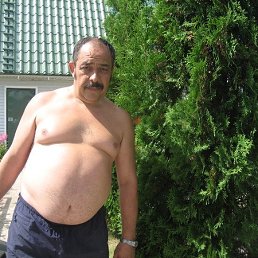 , 65 , 