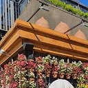 ���� �������, ����-���������, 66 ��� - ��������� 22 ������� 2026 � ������ ���� ����������