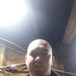 ���� ����, �����, 33 ���� - ��������� 15 ���� 2026