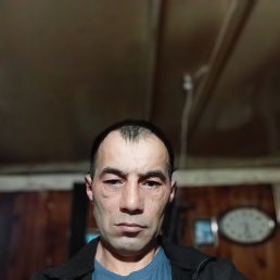 �������, 41 ���, ������