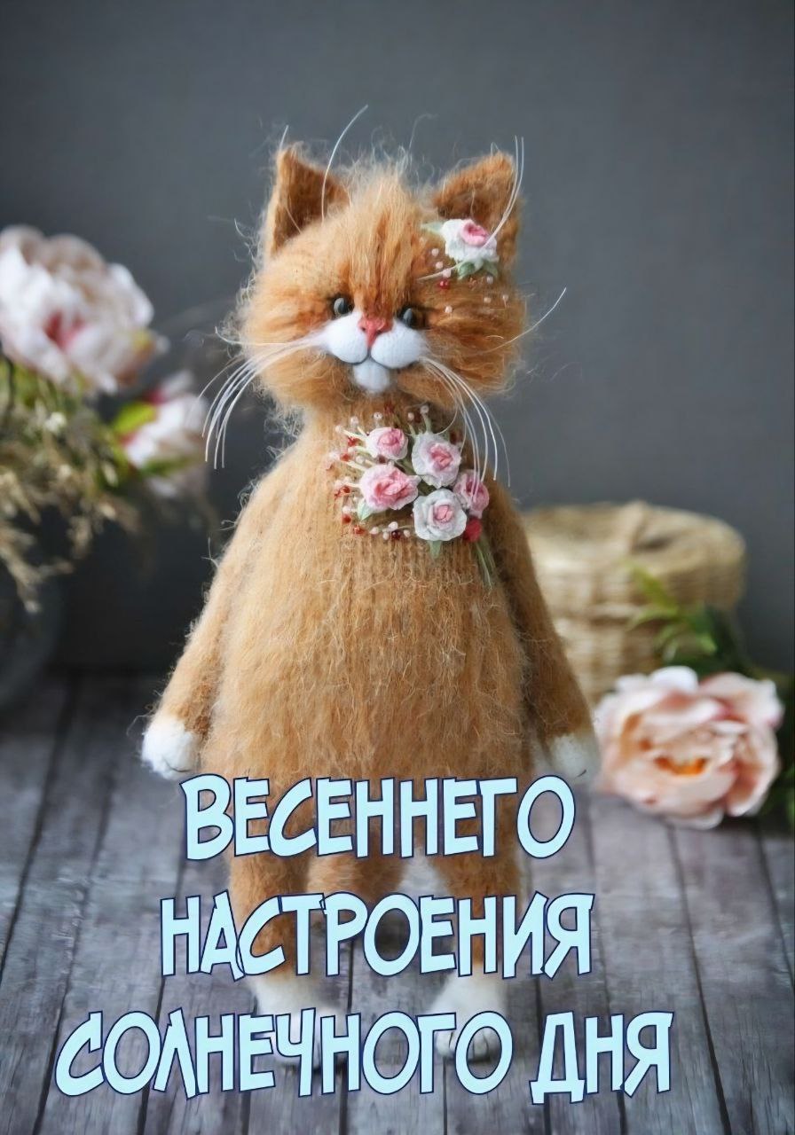  - 23  2025  10:29