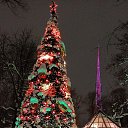 ���� �������� ����, ������, 38 ��� - ��������� 7 ������ 2026 � ������ ���� ����������