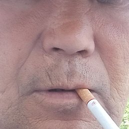 ., , 52 