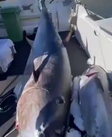 ��������� ����: ���������� ����� ������ � �����. ���������� ������ � ��������� ��������� � ��������, ...