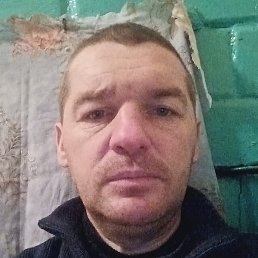 ����, ���������, 41 ���