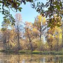 ���� ��������, ������-��� - ��������� 15 ������� 2025 � ������ ���� ����������