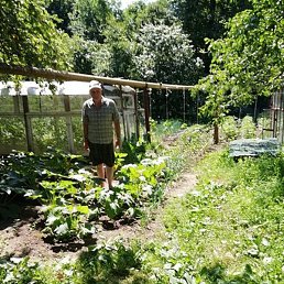 �������, ������, 67 ���