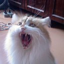 ���� ������, �����, 65 ��� - ��������� 20 ������� 2025