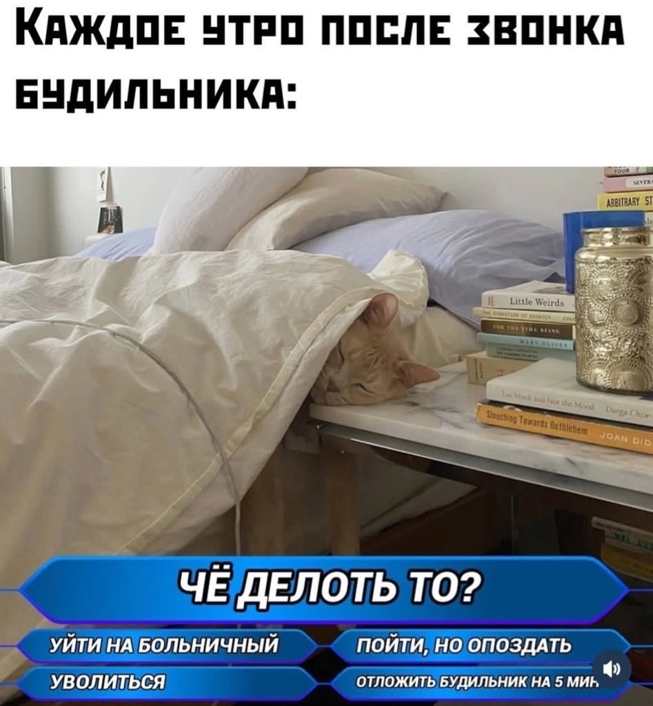   - 7  2025  15:47